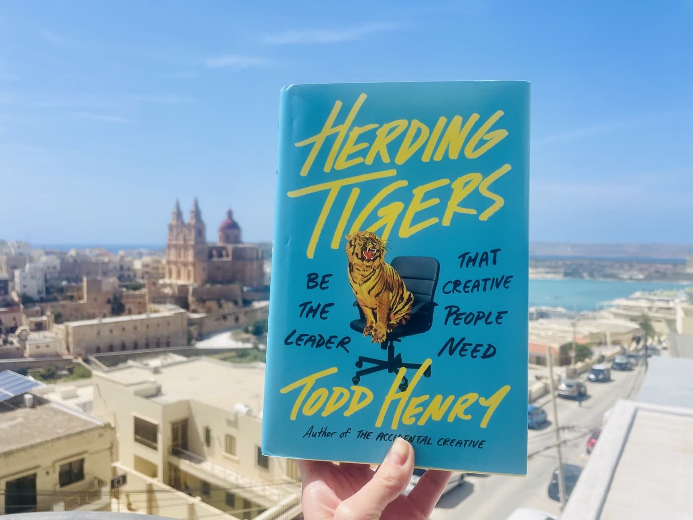 Holding up Todd Henry's Herding Tigers against a sunlit hillside town and the sea
